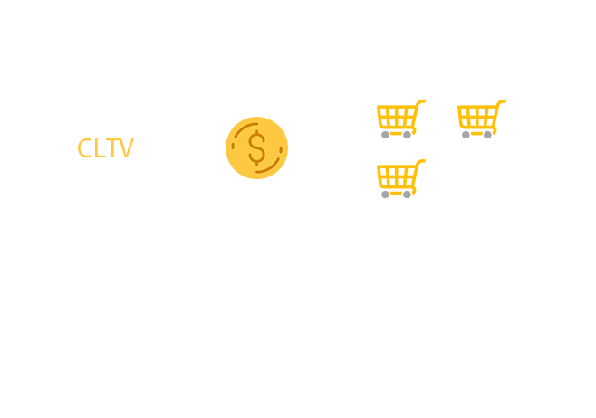 Customer lifetime value